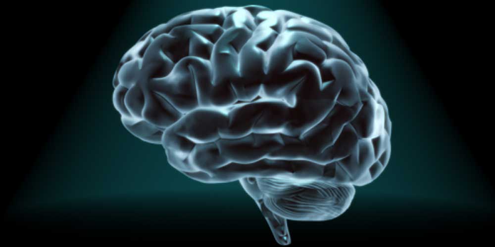 کشف ارتباط نقطه آبی مغز با خواب